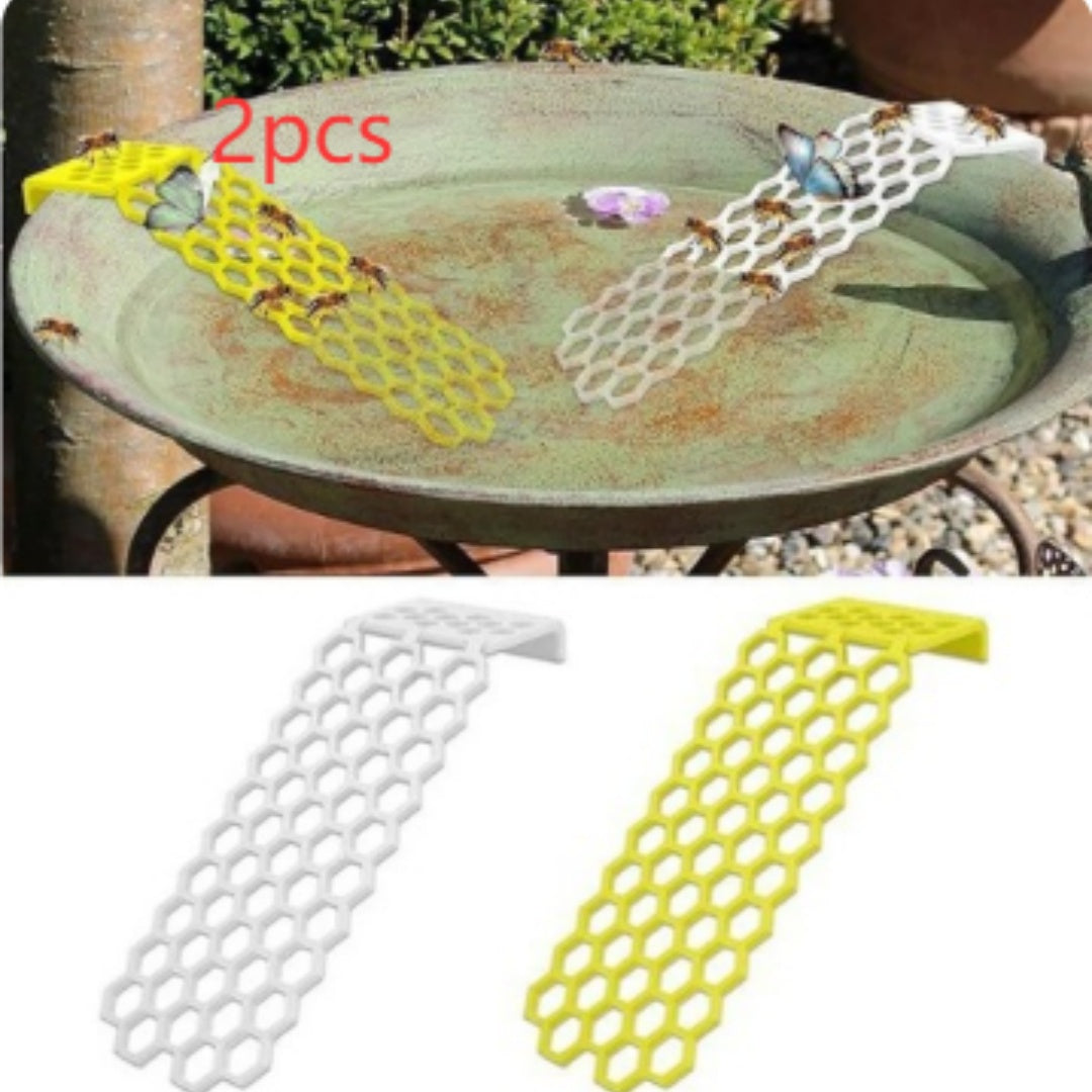 Bee Drinking Water Ladder