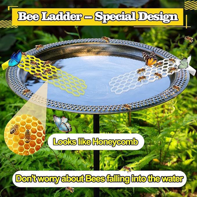 Bee Drinking Water Ladder