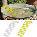 Bee Drinking Water Ladder