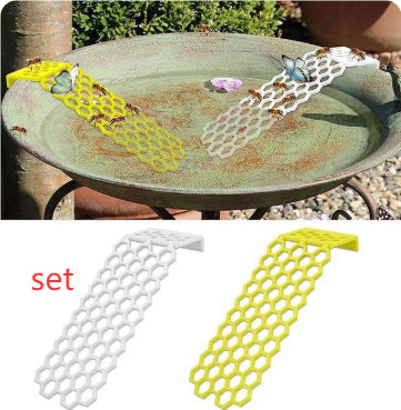 Bee Drinking Water Ladder
