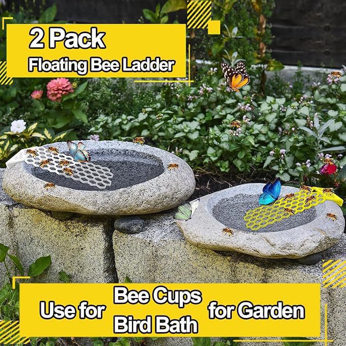 Bee Drinking Water Ladder